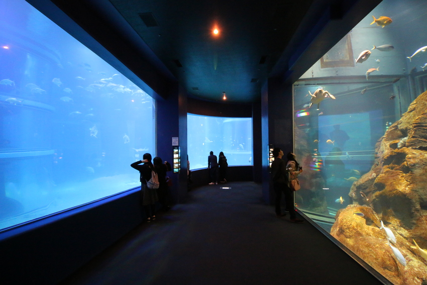 91756-Osaka-Aquarium-Kaiyukan
