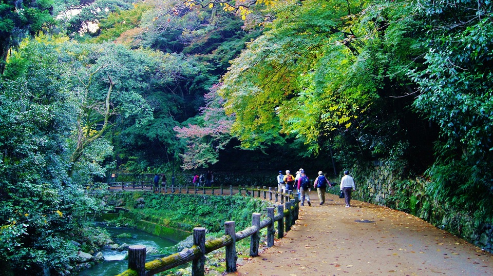 Minoo park osaka1125
