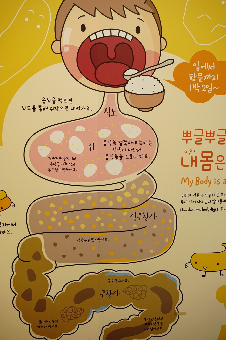 Toilet Park & Poop Museum (Haewoojae Museum) (1)