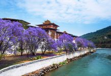 Punakha Dzong·Bhutan