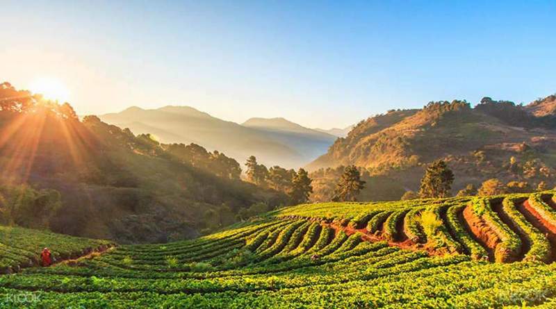 Doi Inthanon National Park