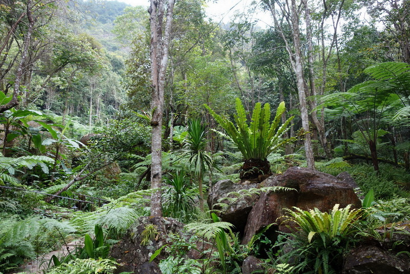 Doi Inthanon National Park2