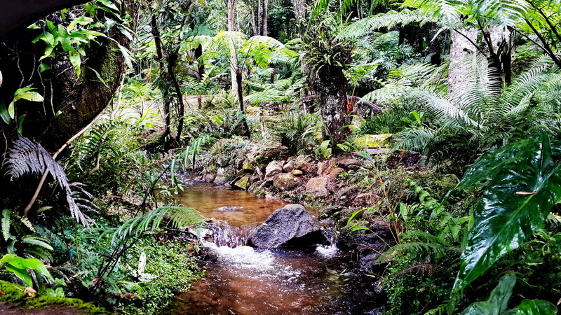 SiriphumWaterfall_DoiInthanon