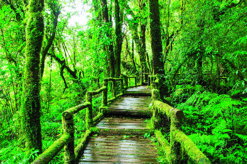 Doi Inthanon National Park2