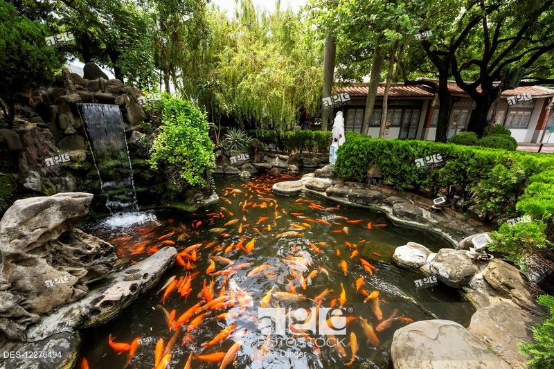 Koi in the moat around Chihkan Tower