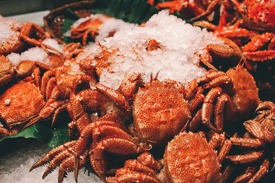 Taipei Fish Market 6
