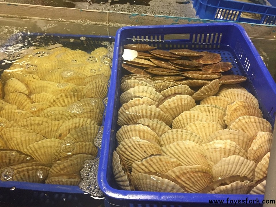 Taipei Fish Market 7