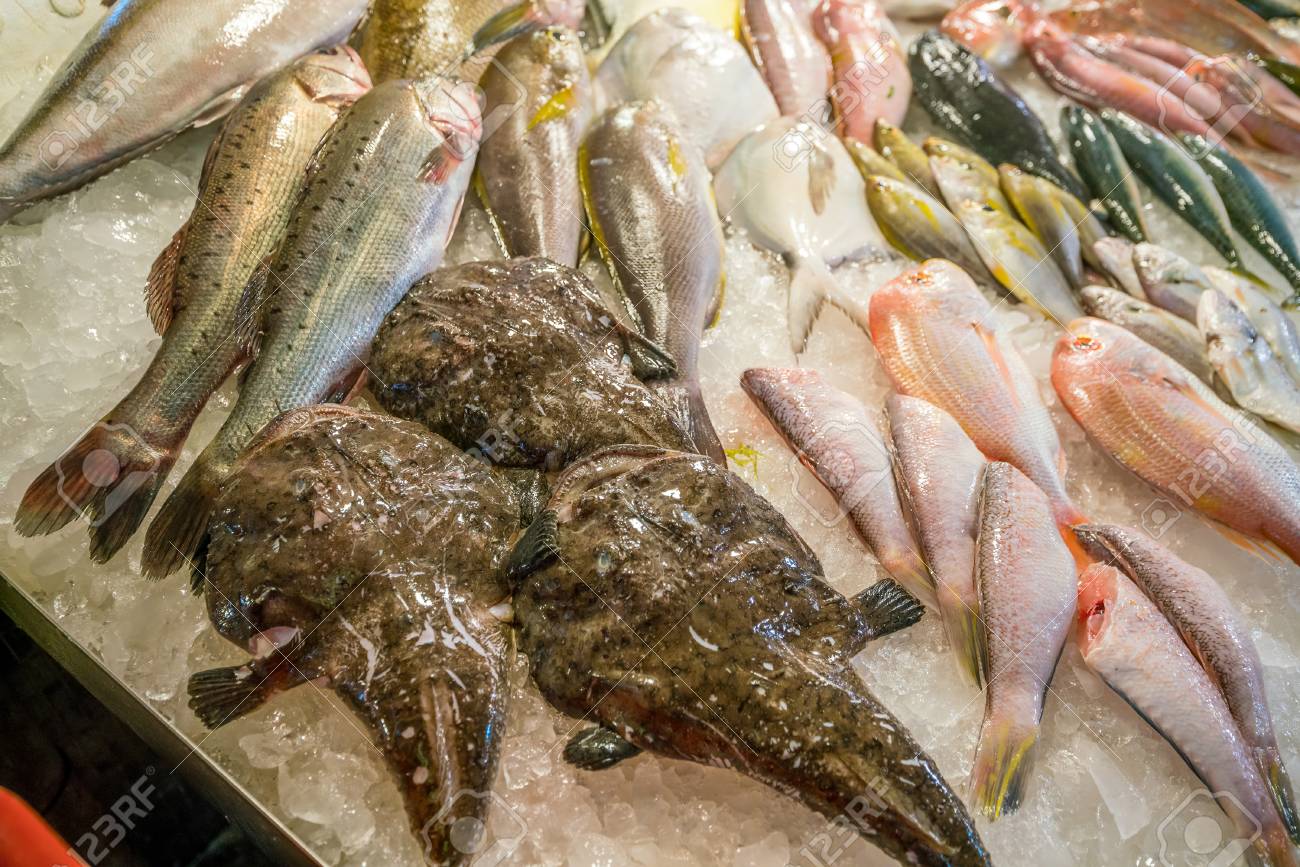 Taipei fish Market
