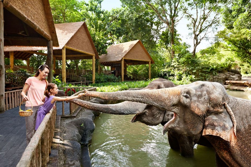 singapore zoo