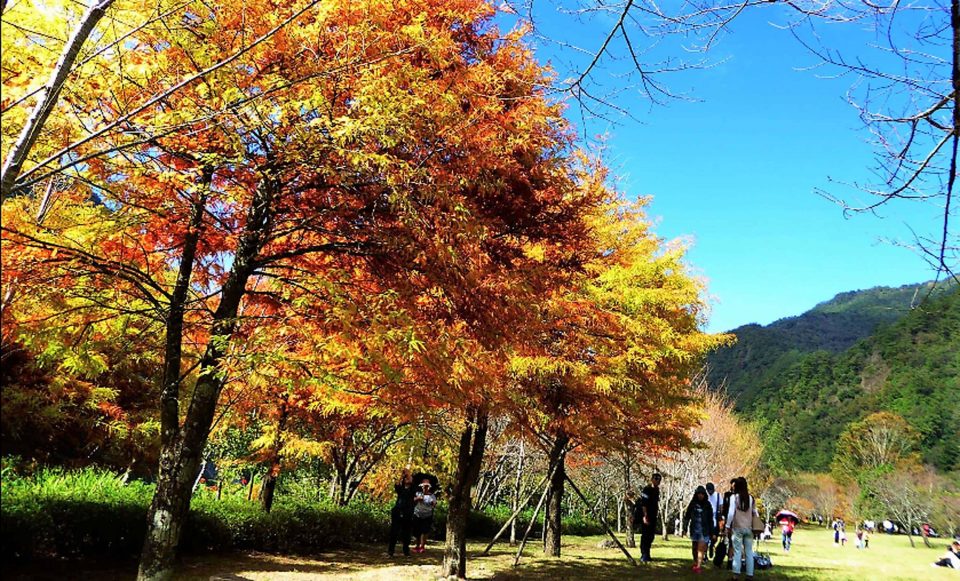 Taipingshan Yilan Picture: taipingshan national forest recreation area blog.
