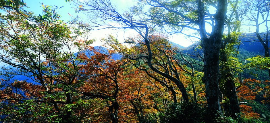 Taipingshan Yilan