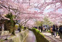 Kyoto travel tips — 12+ Kyoto insider tips & things to know before going to Kyoto kyoto blog kyoto travel blog