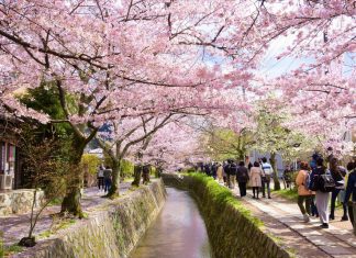kyoto blog kyoto travel blog
