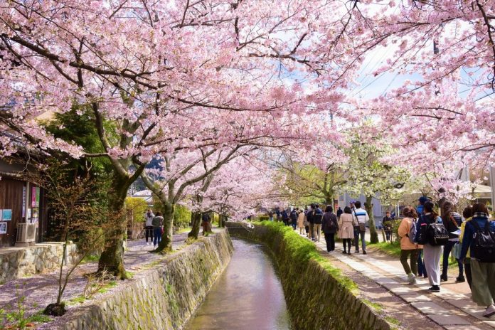kyoto blog kyoto travel blog