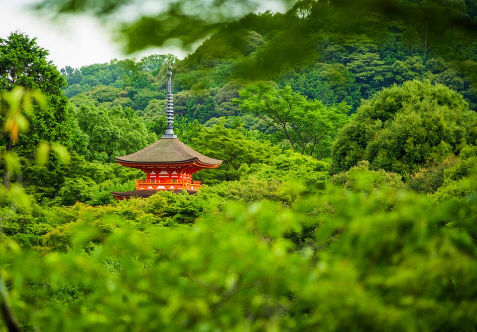 kyoto in summer