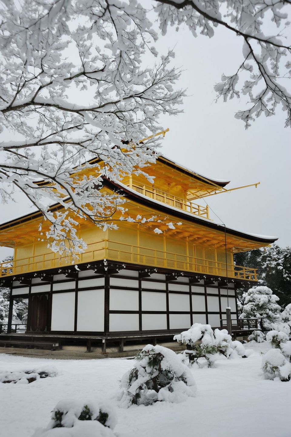 golden pavillion temple tokyo (1)