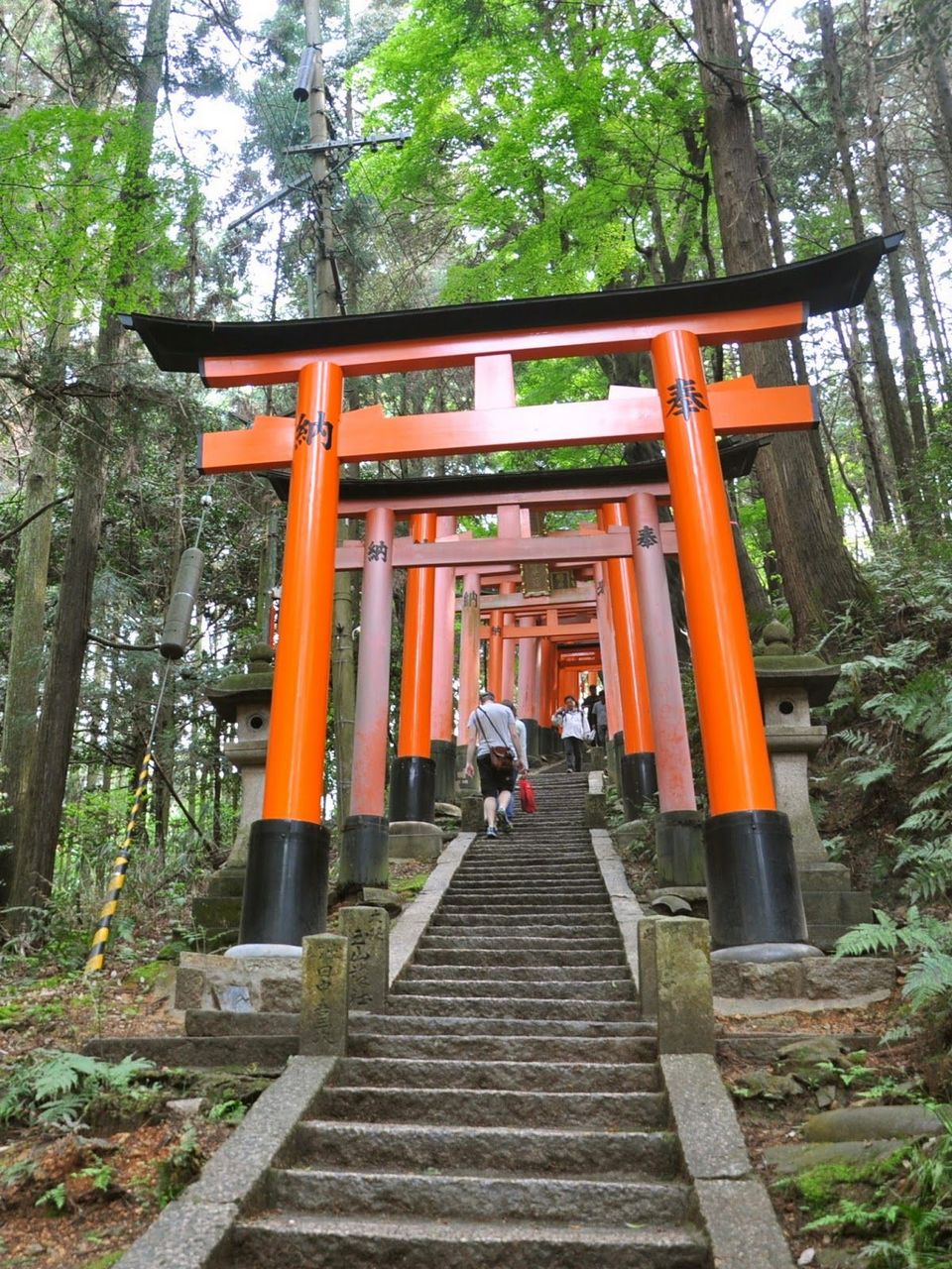 fushimi inari hiking