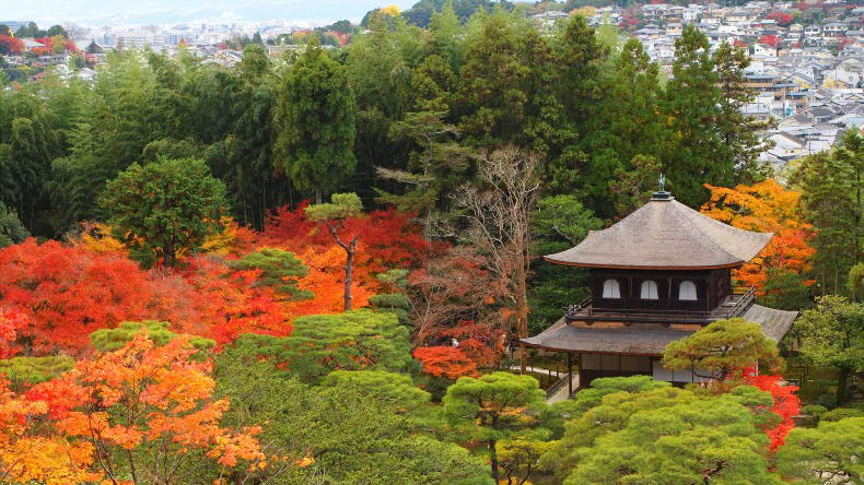 ginkaku-ji-find-travel.jp_
