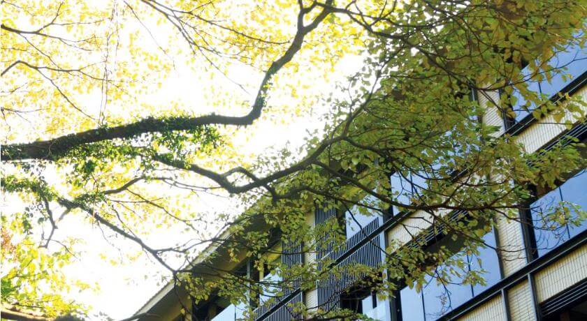 Beitou Hot Spring