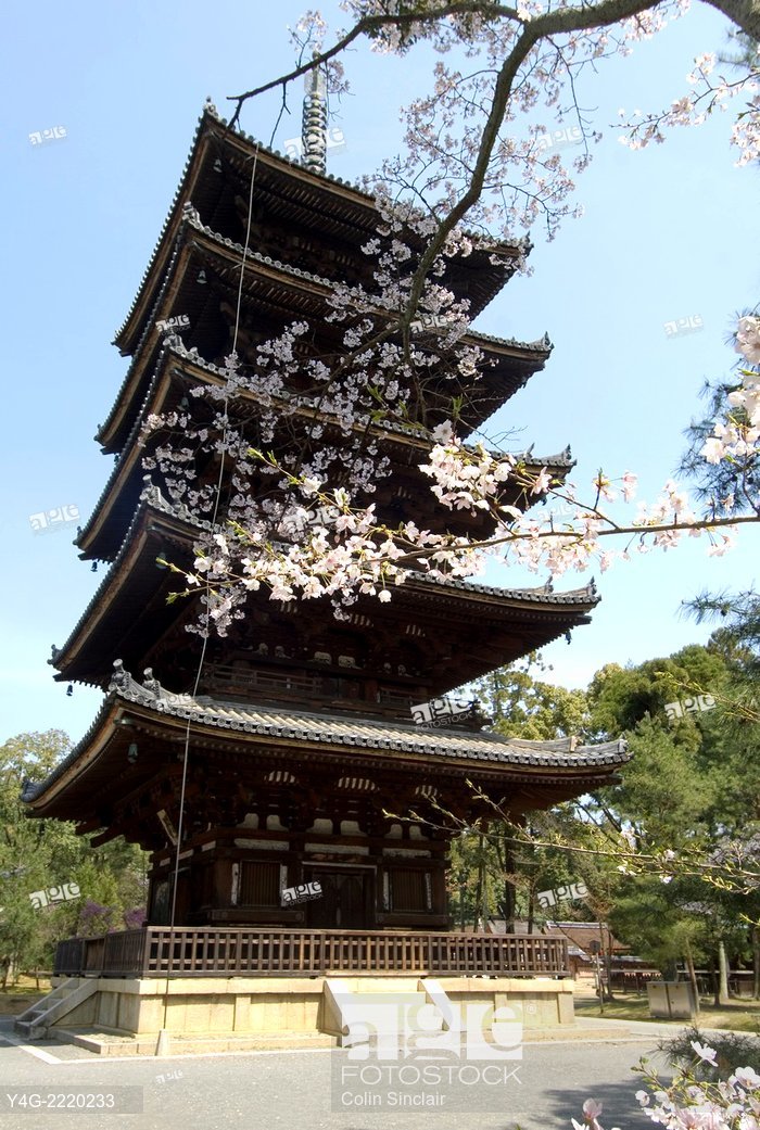 Ninna-ji Temple kypto (3)