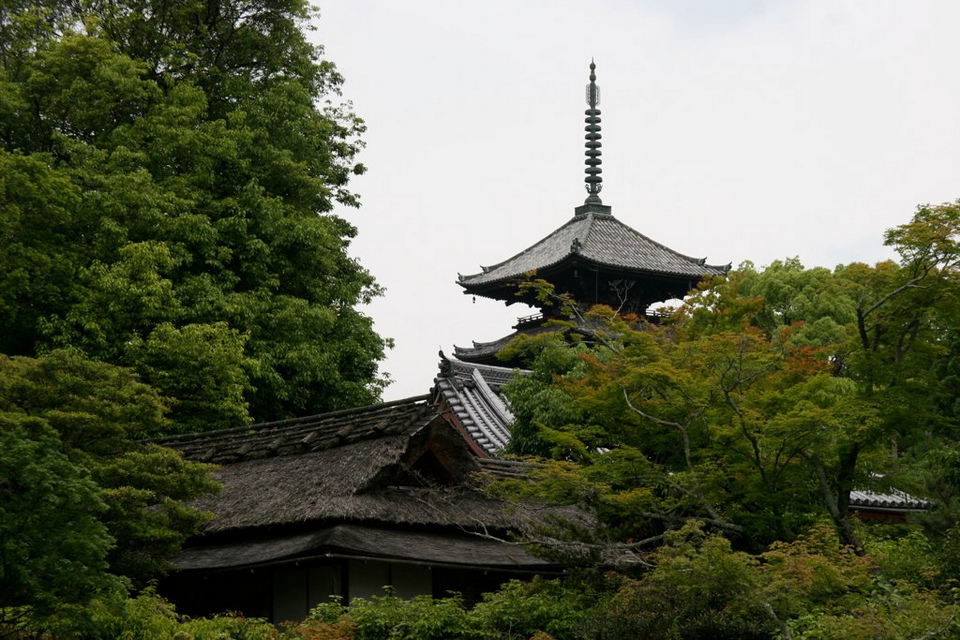 Ninna-ji Temple kypto (3)