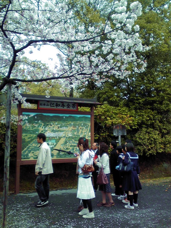 Ninna-ji Temple kypto (3)