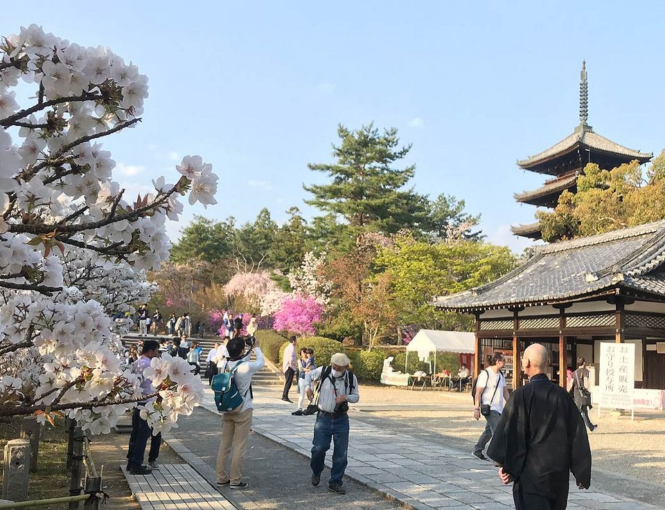 Ninna-ji Temple kypto (3)