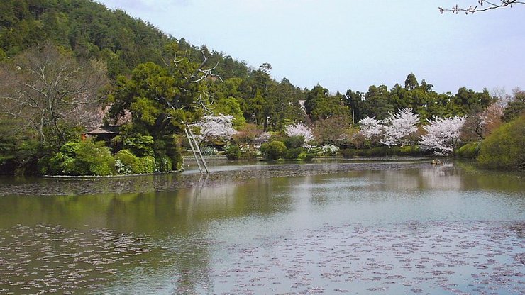 ryoanji temple kyoto 3 days in kyoto kyoto 3 day itinerary what to do in 3 days in kyoto (1)