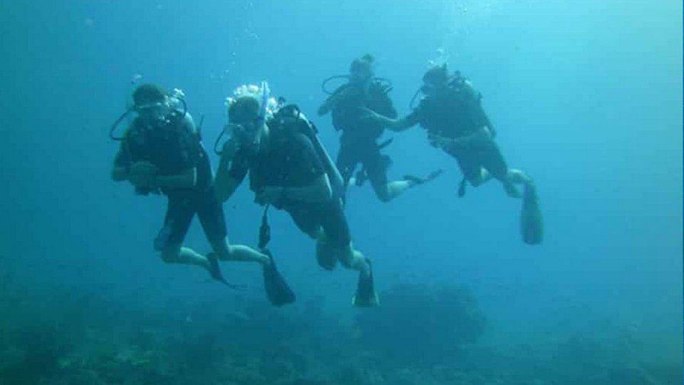 kota diving