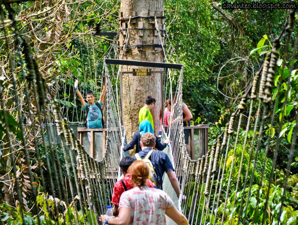2Canopy Walk kinabalu
