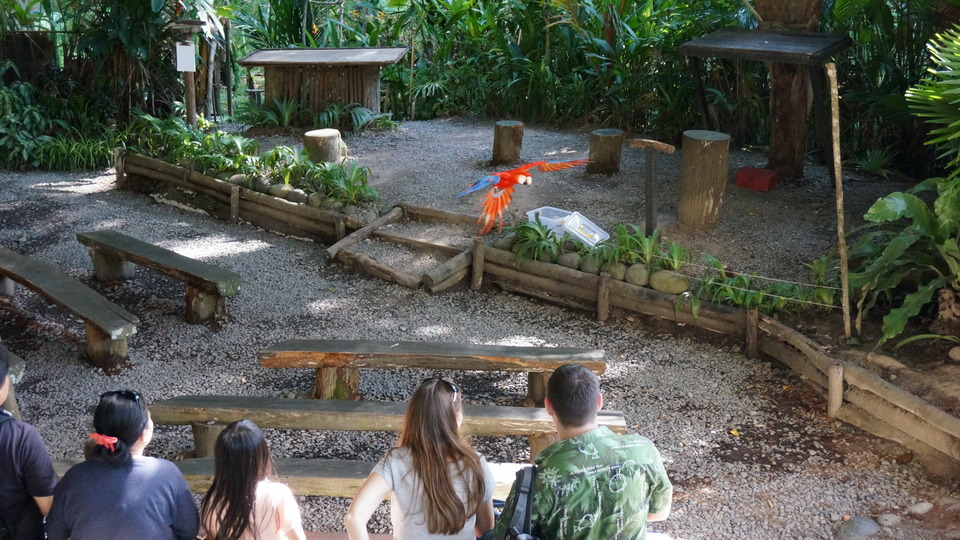 Lok Kawi Wildlife Park kota kinabalu (4)