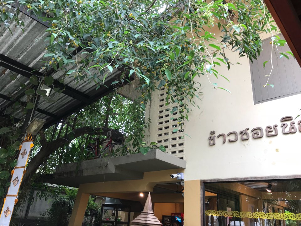 khao-soi-nimman kao soi nimman (37)