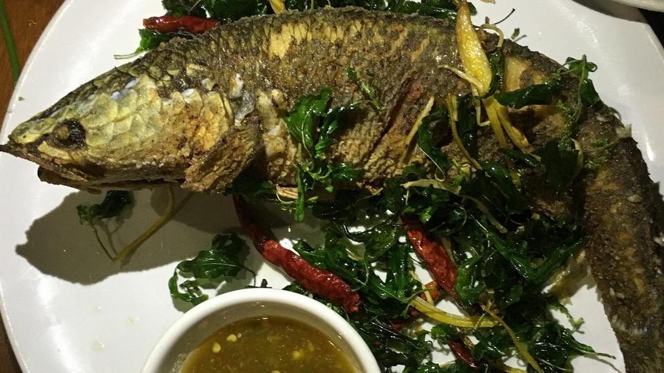 Tong Tem Toh best places to eat chiang mai blog (1)