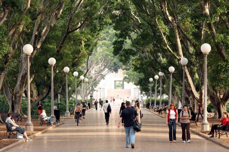 depositphotos_13830580-stock-photo-walkway-hyde-park-sydney-australia