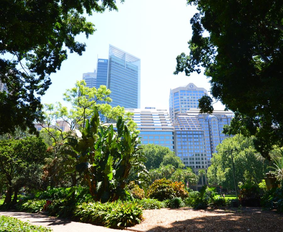 hyde park sydney (1)