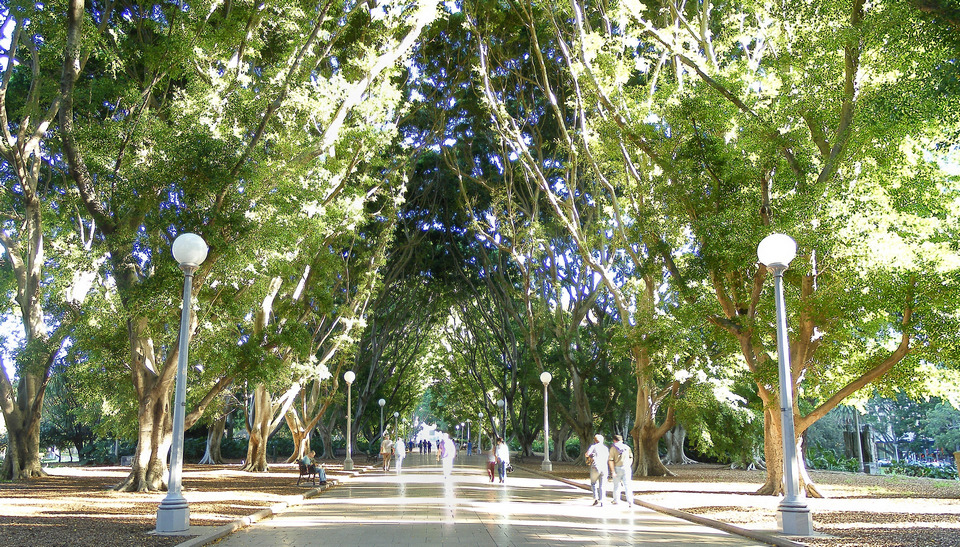 hyde park sydney (1)
