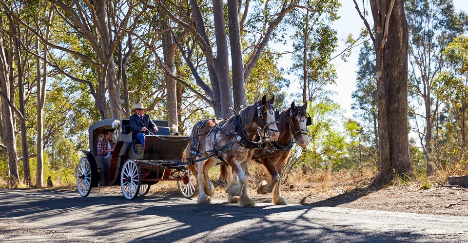 hunter valley sydney (1)
