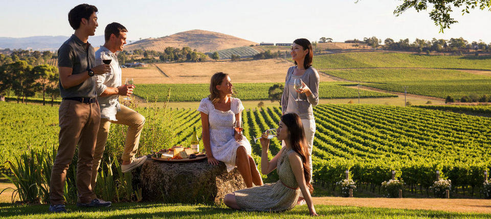 hunter valley sydney (2)