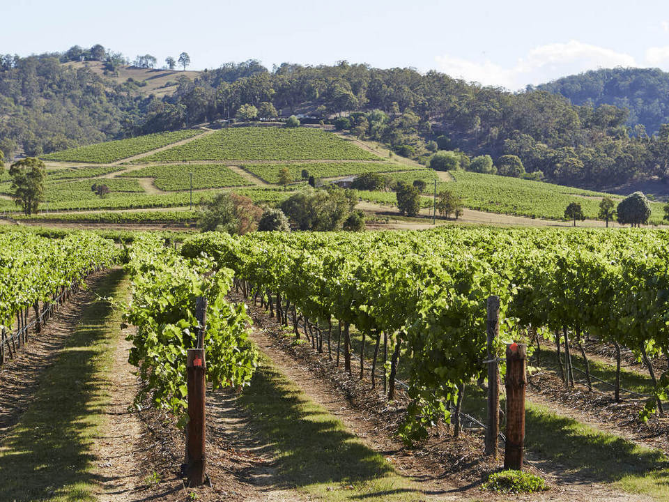 hunter valley sydney (2)