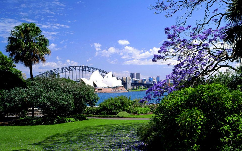 sydney-royal-botanic-gardens (1)