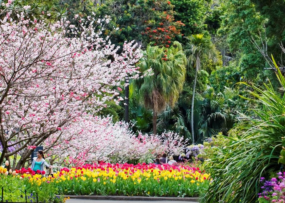 sydney-royal-botanic-gardens (1)