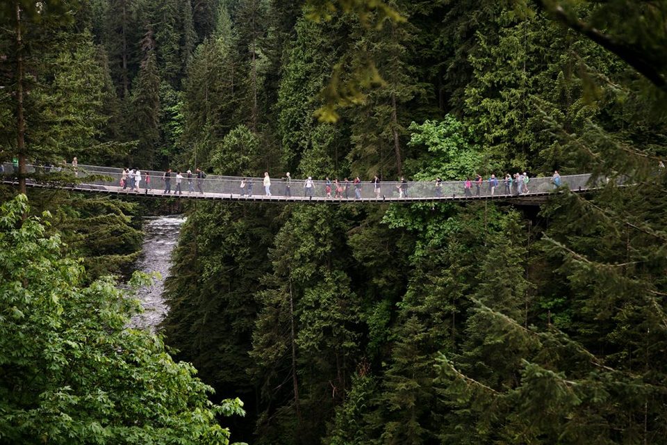 Capilano Suspension Bridge vancouver (1) Picture: vancouver island travel blog.