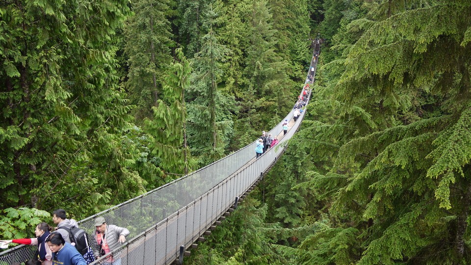 Capilano Suspension Bridge vancouver (1)