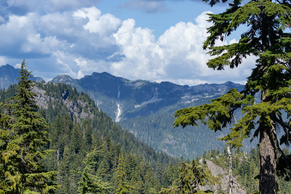 Grouse Mountain vancouver (1)