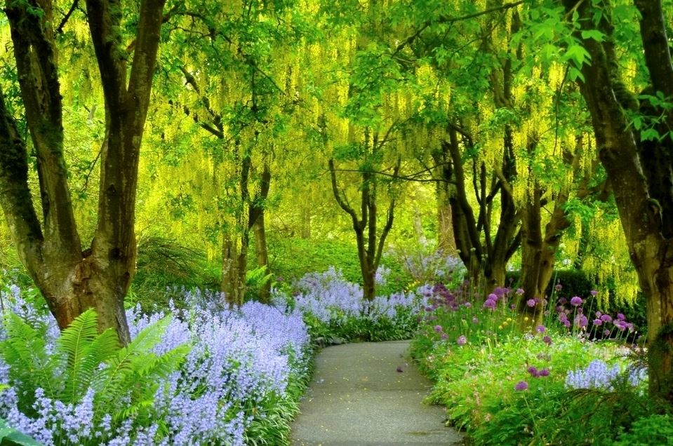 VanDusen Botanical Garden vancouver