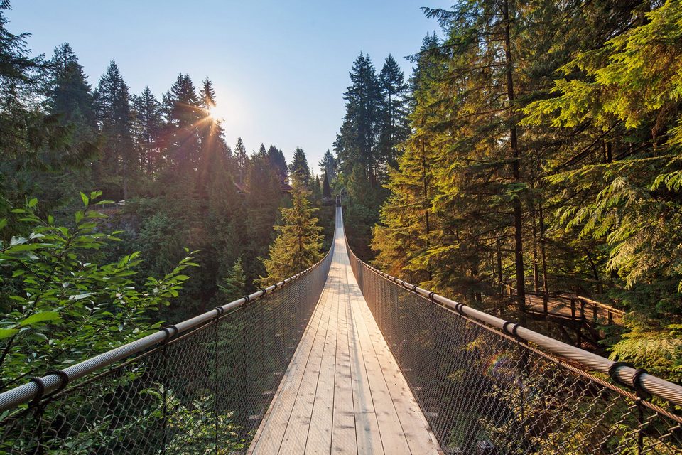Capilano Suspension Bridge vancouver (1)