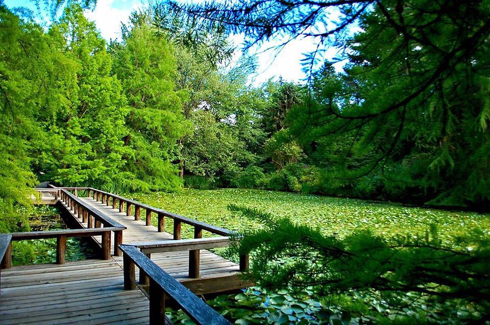 VanDusen Botanical Garden vancouver