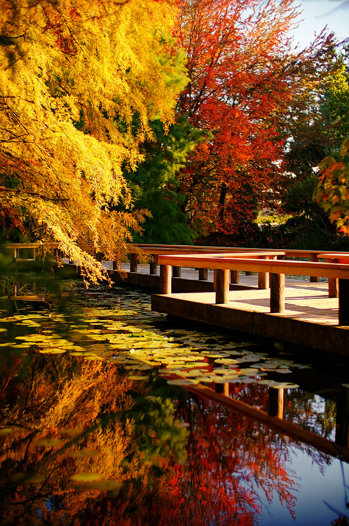 VanDusen Botanical Garden vancouver