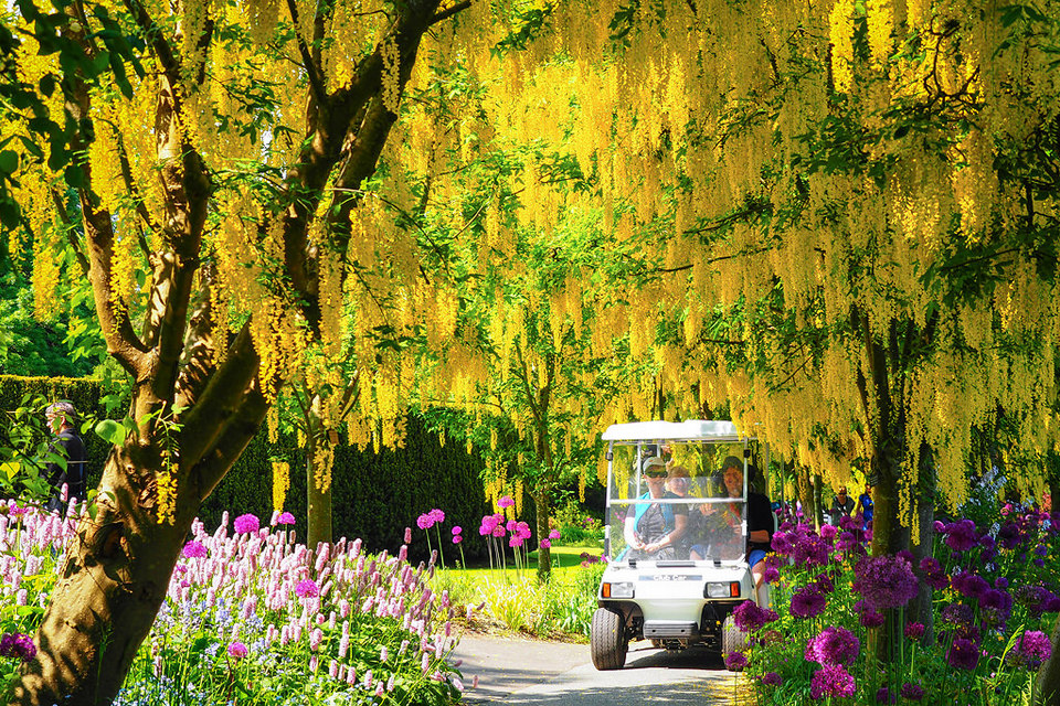 VanDusen Botanical Garden vancouver
