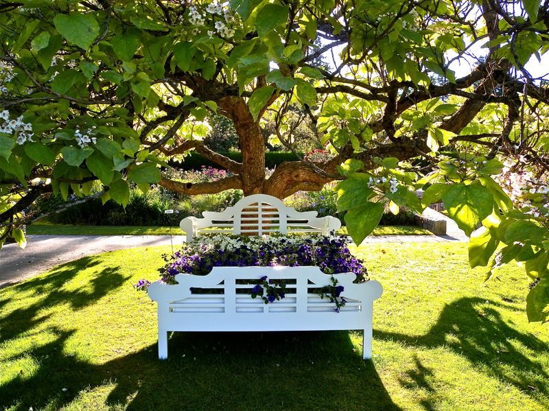 VanDusen Botanical Garden vancouver